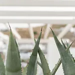 Aparthotel Cova Mykonos