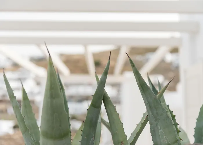 מלון דירות Cova Mykonos