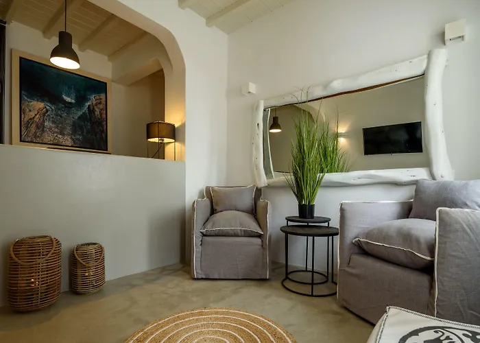 公寓式酒店 Cova Mykonos Elia (Mykonos)